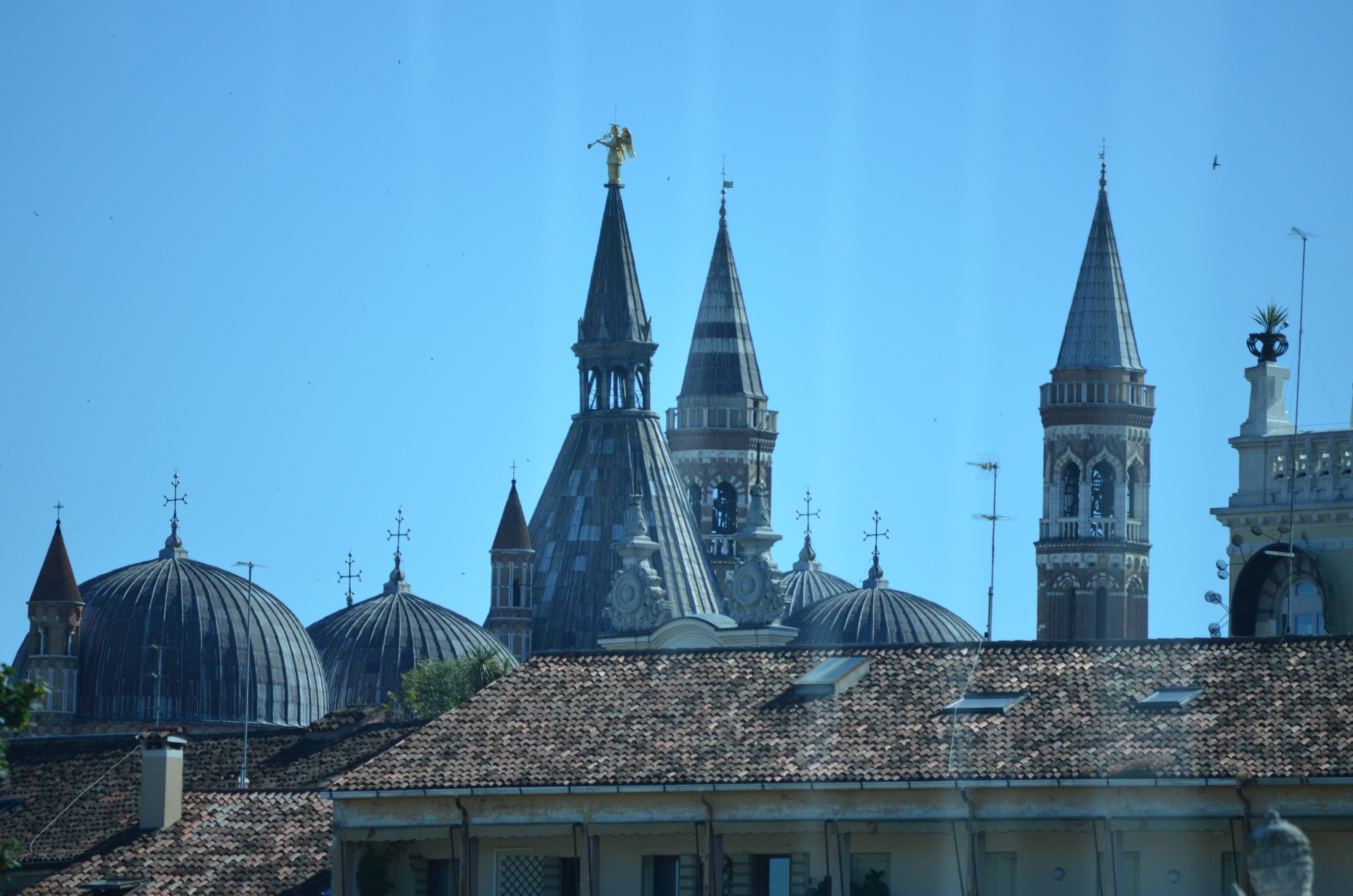 DSC_0039.JPG